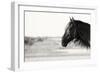 Pretty Girl-Aledanda-Framed Photographic Print