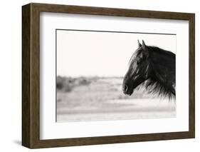 Pretty Girl-Aledanda-Framed Photographic Print