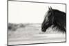 Pretty Girl-Aledanda-Mounted Photographic Print