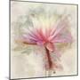 Pretty in Pastel I-Leda Robertson-Mounted Photographic Print