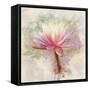 Pretty in Pastel I-Leda Robertson-Framed Stretched Canvas