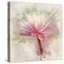 Pretty in Pastel I-Leda Robertson-Stretched Canvas