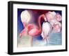 Pretty in Pink, 2012,-Nancy Moniz Charalambous-Framed Giclee Print