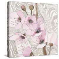 Pretty in Pink Blossoms 2-Megan Swartz-Stretched Canvas