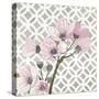 Pretty in Pink Blossoms 3-Megan Swartz-Stretched Canvas