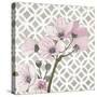 Pretty in Pink Blossoms 3-Megan Swartz-Stretched Canvas