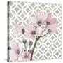 Pretty in Pink Blossoms 3-Megan Swartz-Stretched Canvas