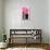 Pretty In Pink - Logo-Trends International-Poster displayed on a wall