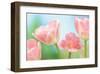 Pretty in Pink-Karin Connolly-Framed Art Print