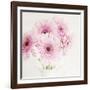 Pretty in Pink-Susannah Tucker-Framed Art Print