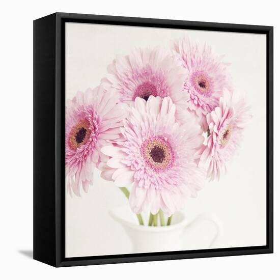 Pretty in Pink-Susannah Tucker-Framed Stretched Canvas