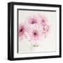 Pretty in Pink-Susannah Tucker-Framed Art Print