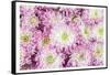 Pretty in Purple I-Donnie Quillen-Framed Stretched Canvas