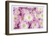 Pretty in Purple I-Donnie Quillen-Framed Art Print