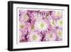 Pretty in Purple I-Donnie Quillen-Framed Art Print