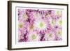 Pretty in Purple I-Donnie Quillen-Framed Art Print