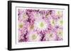 Pretty in Purple I-Donnie Quillen-Framed Art Print