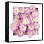 Pretty in Purple II-Donnie Quillen-Framed Stretched Canvas