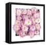 Pretty in Purple II-Donnie Quillen-Framed Stretched Canvas