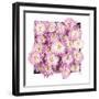 Pretty in Purple II-Donnie Quillen-Framed Art Print