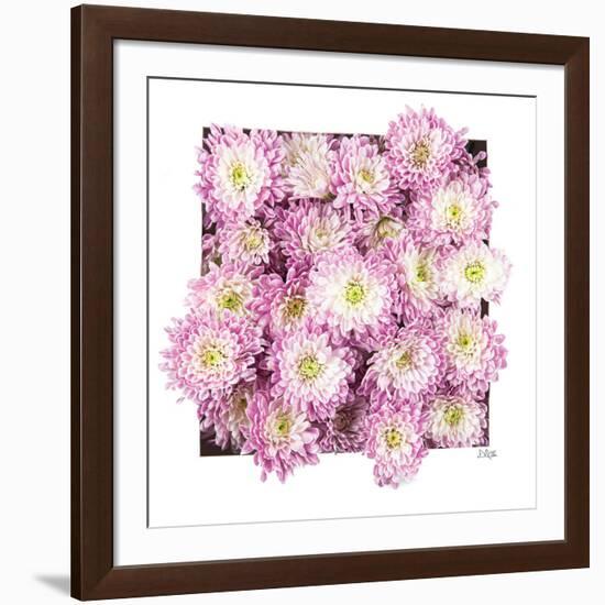 Pretty in Purple II-Donnie Quillen-Framed Art Print