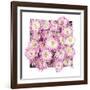 Pretty in Purple II-Donnie Quillen-Framed Art Print