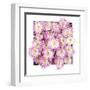 Pretty in Purple II-Donnie Quillen-Framed Art Print