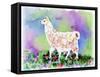 Pretty Llama-sylvia pimental-Framed Stretched Canvas