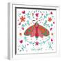 Pretty Moth-Farida Zaman-Framed Art Print