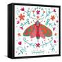 Pretty Moth-Farida Zaman-Framed Stretched Canvas