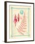 Pretty Ocean 4-Z Studio-Framed Art Print