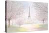 Pretty Paris-James Wiens-Stretched Canvas