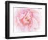 Pretty Pink Blooms III-Eva Bane-Framed Art Print