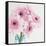 Pretty Pink Daisies-Susannah Tucker-Framed Stretched Canvas