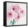 Pretty Pink Daisies-Susannah Tucker-Framed Stretched Canvas