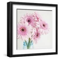 Pretty Pink Daisies-Susannah Tucker-Framed Art Print