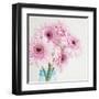 Pretty Pink Daisies-Susannah Tucker-Framed Art Print