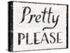 Pretty Please v1-Sue Schlabach-Stretched Canvas