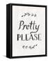 Pretty Please v2-Sue Schlabach-Framed Stretched Canvas