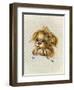 Pretty Please-Peggy Harris-Framed Giclee Print