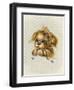 Pretty Please-Peggy Harris-Framed Giclee Print