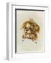 Pretty Please-Peggy Harris-Framed Giclee Print