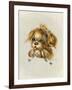 Pretty Please-Peggy Harris-Framed Giclee Print