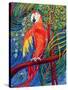 Pretty Polly-Patricia Eyre-Stretched Canvas