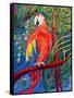 Pretty Polly-Patricia Eyre-Framed Stretched Canvas