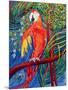 Pretty Polly-Patricia Eyre-Mounted Giclee Print