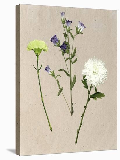 Pretty Pressed Flowers I-Melissa Wang-Stretched Canvas