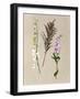 Pretty Pressed Flowers IV-Melissa Wang-Framed Art Print