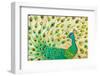 Pretty Pretty Peacock-Peggy Davis-Framed Art Print