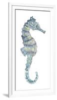 Pretty Seahorse-Sandra Jacobs-Framed Giclee Print